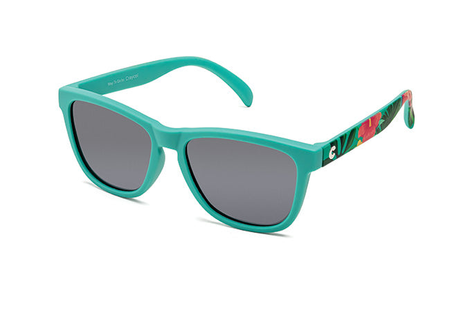 UV 400+ Polarized Lens