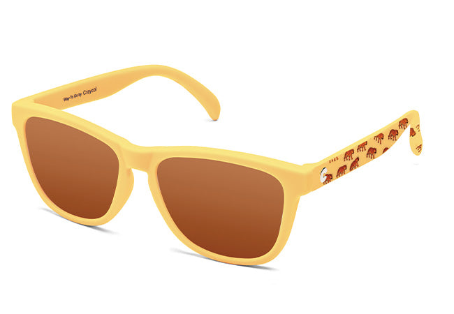 UV 400+ Polarized Lens
