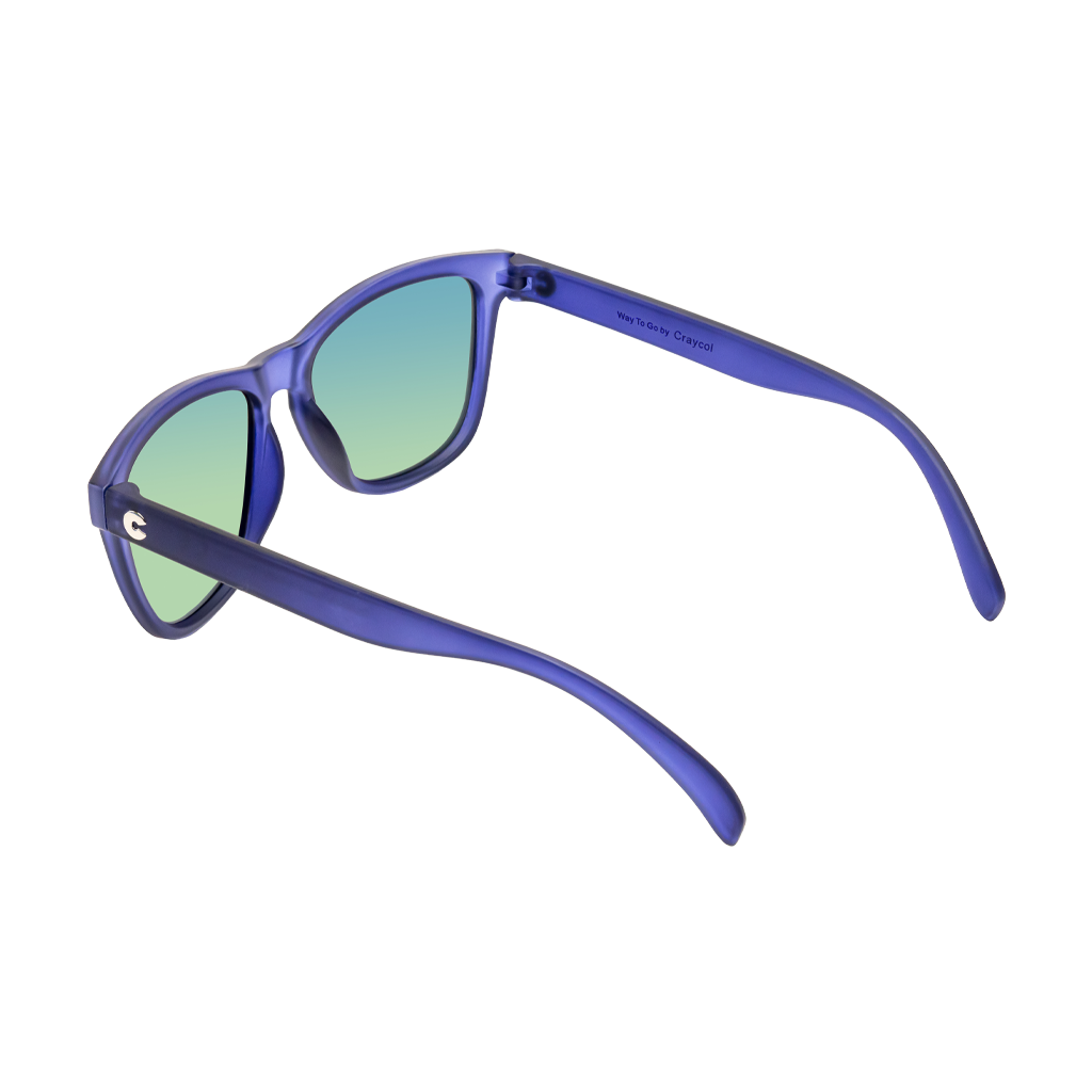 Ravy Navy RX