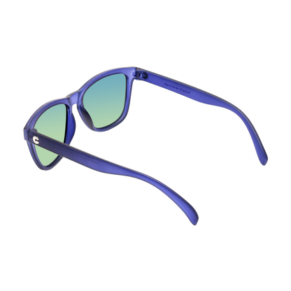 Ravy Navy RX