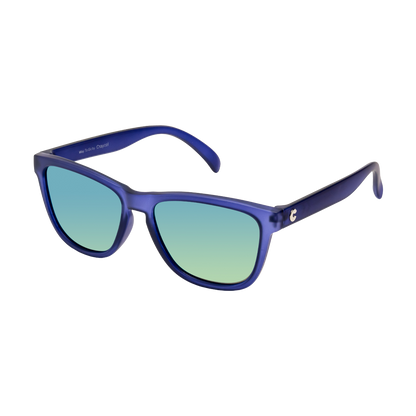 Ravy Navy RX