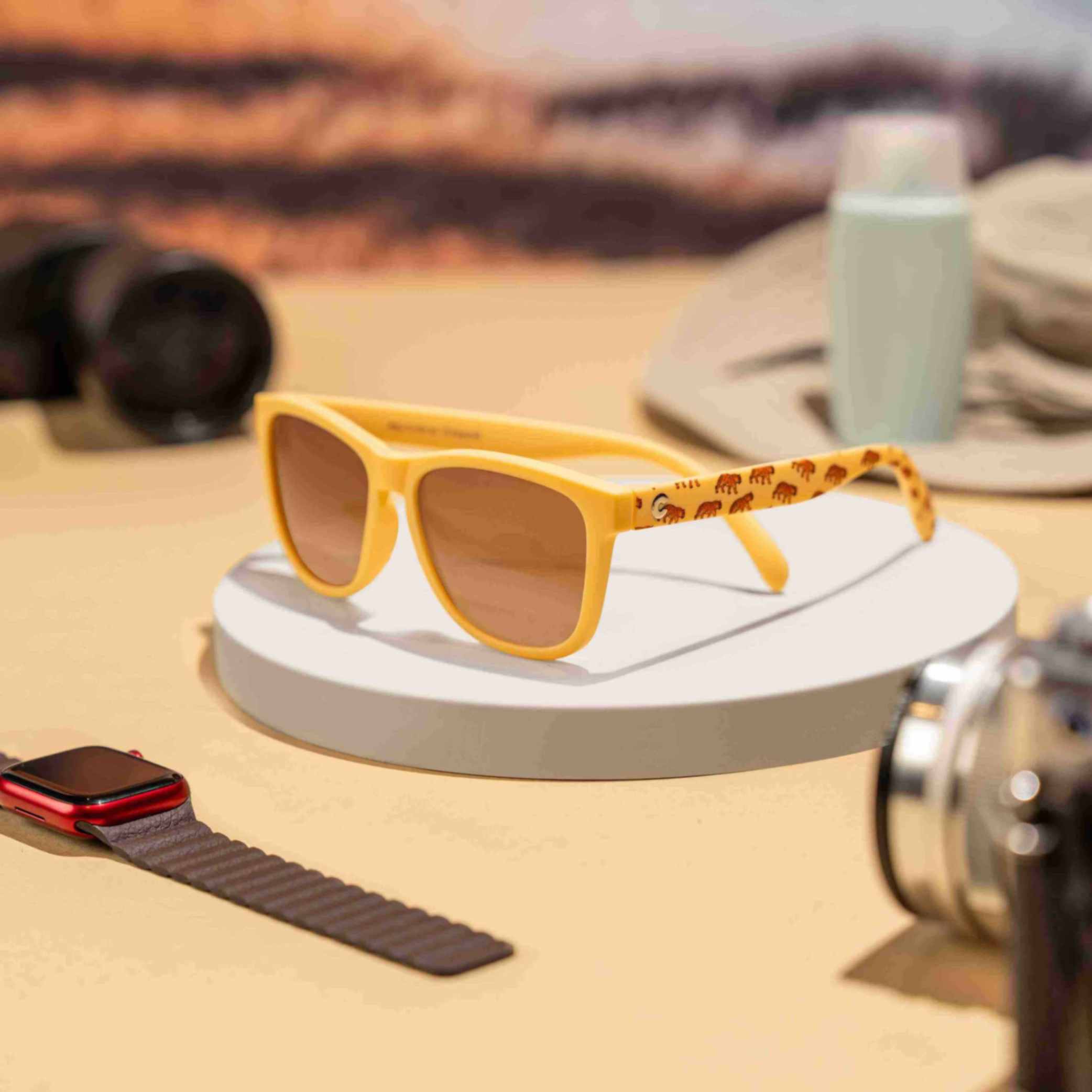 Jungle Roar Sport Sunglasses | Bold Adventure Eyewear in India